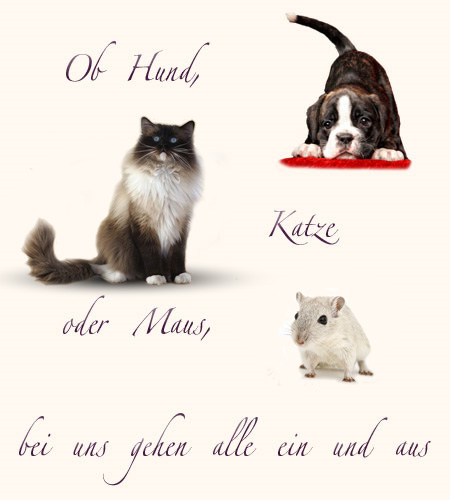 Ob Hund, Katze oder Maus, bei uns gehen alle ein und aus